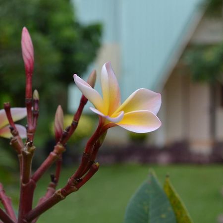 Touch Star Resort Chom Thong Exterior foto