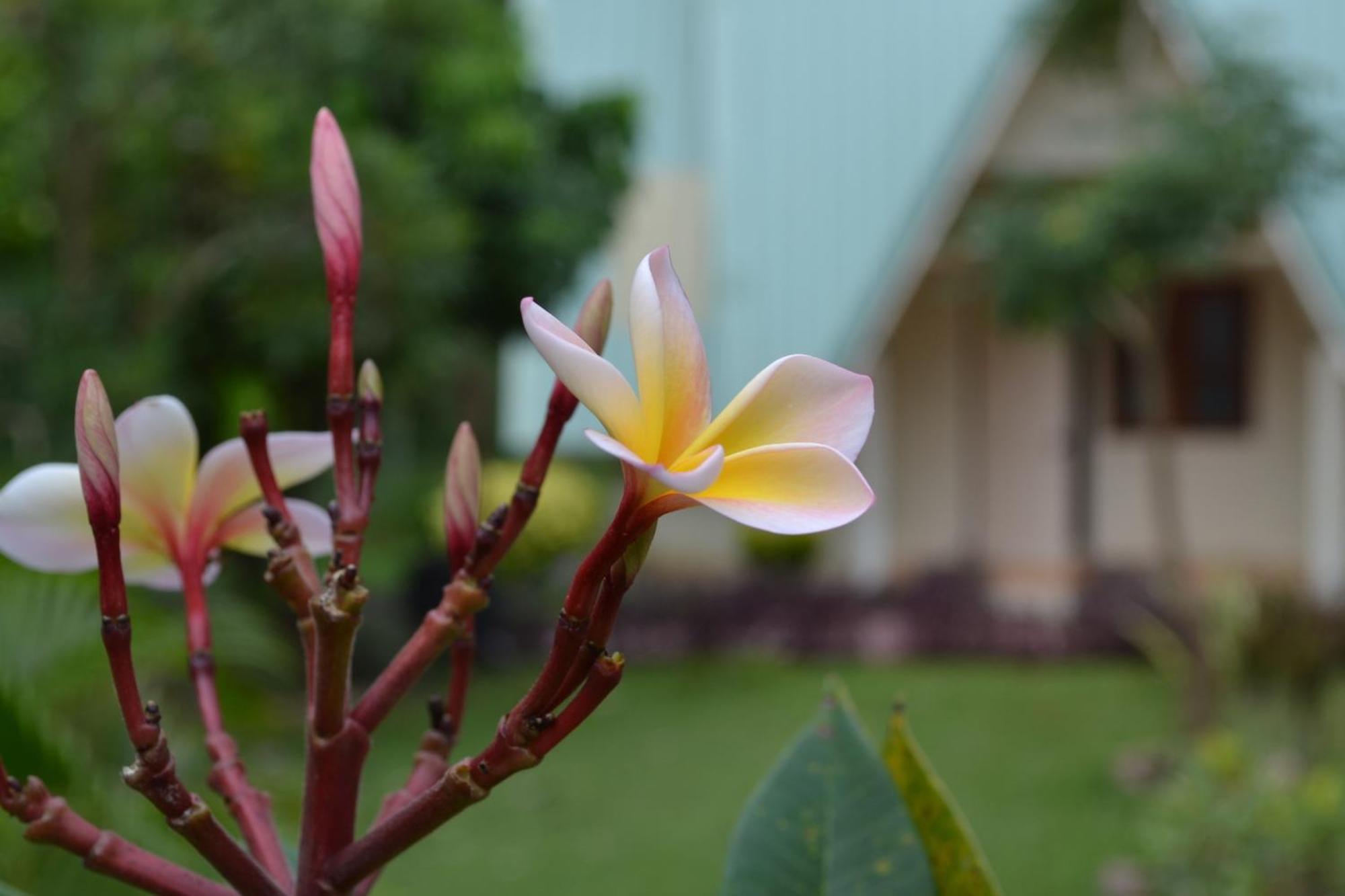 Touch Star Resort Chom Thong Exterior foto